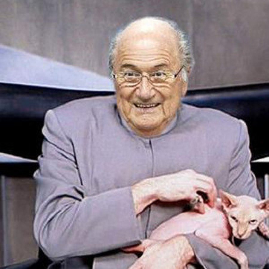 Blatter