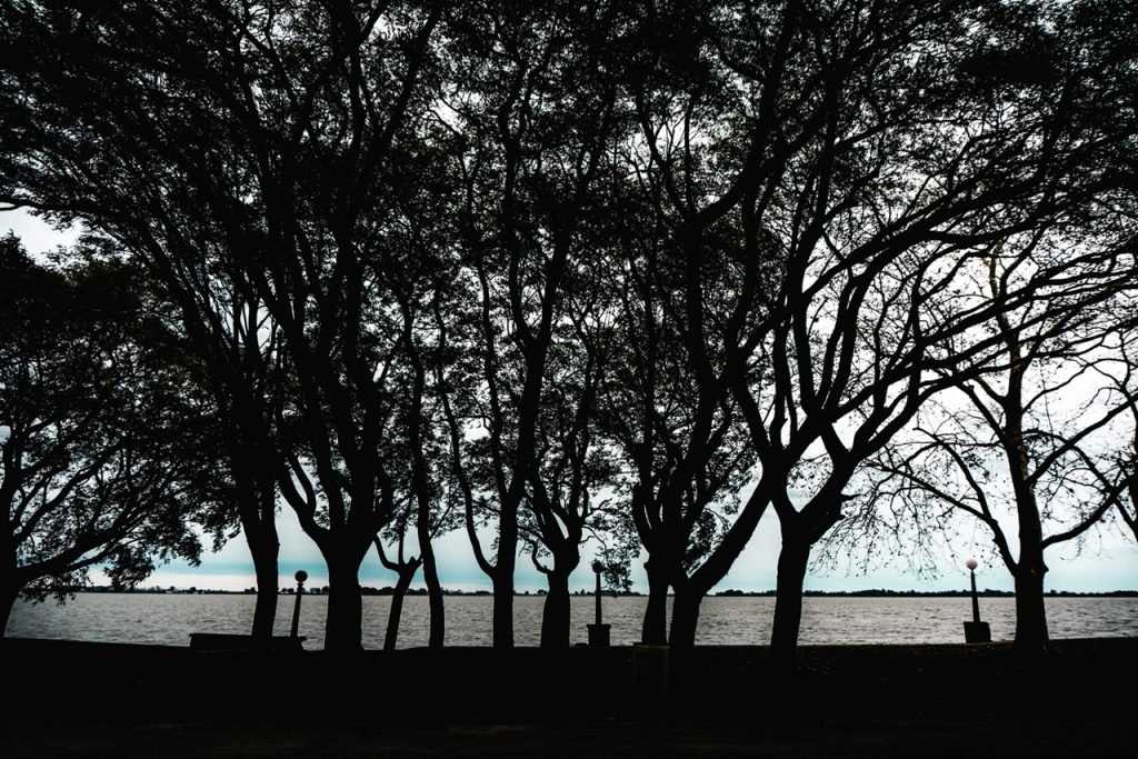 «Se sabe: los enigmas siempre andan cerca del agua».